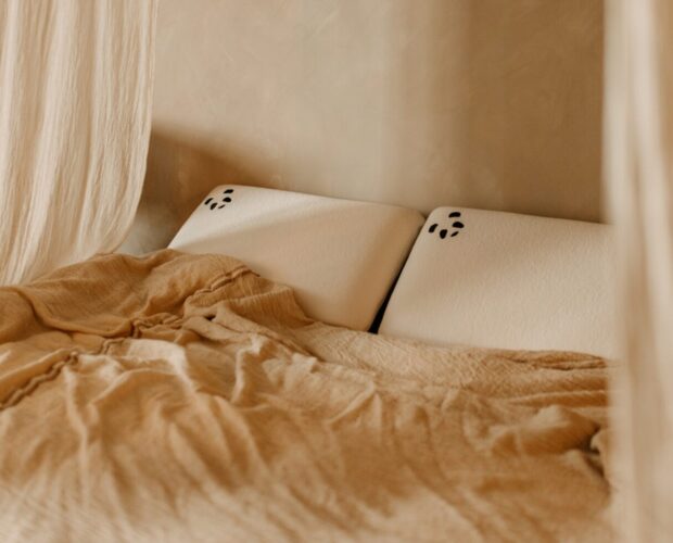 Bamboo Memory Foam Pillow Header Image