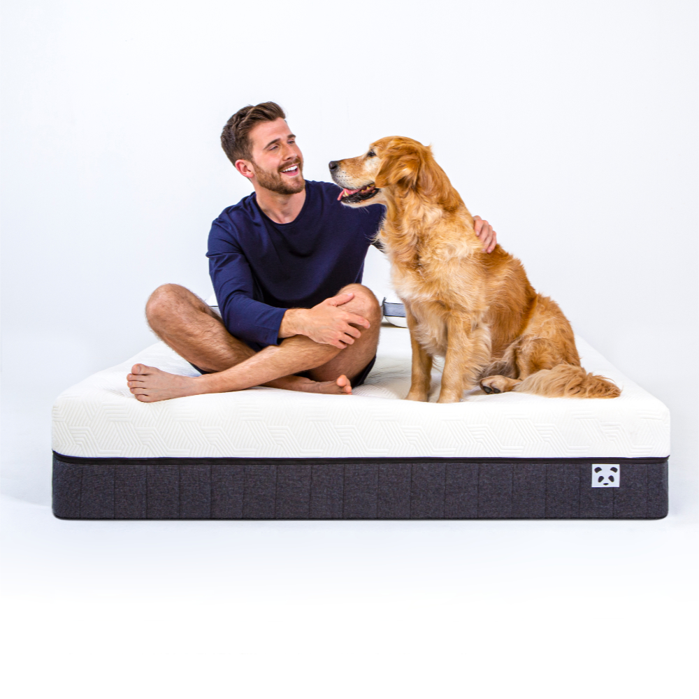 man and a dog on a bamboo hybrid mattress