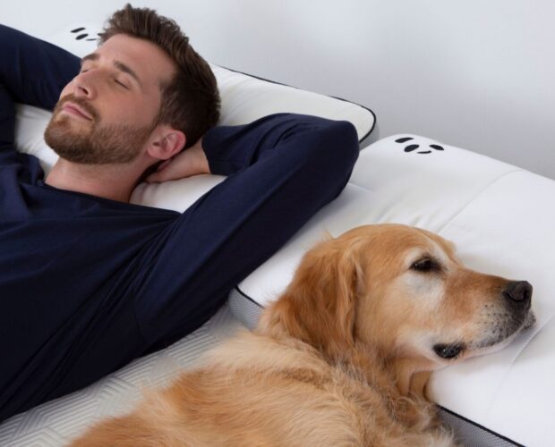 Header image sleep guy with a dog on a hybrid bamboo mattress