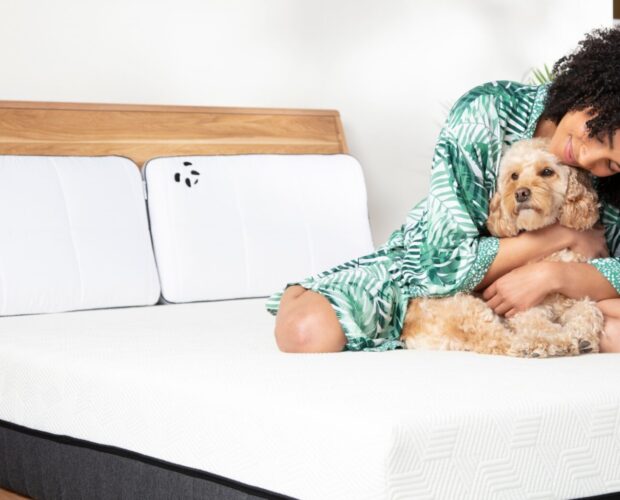 Hybrid Bamboo Mattress Girl with a dog Lifestyle image