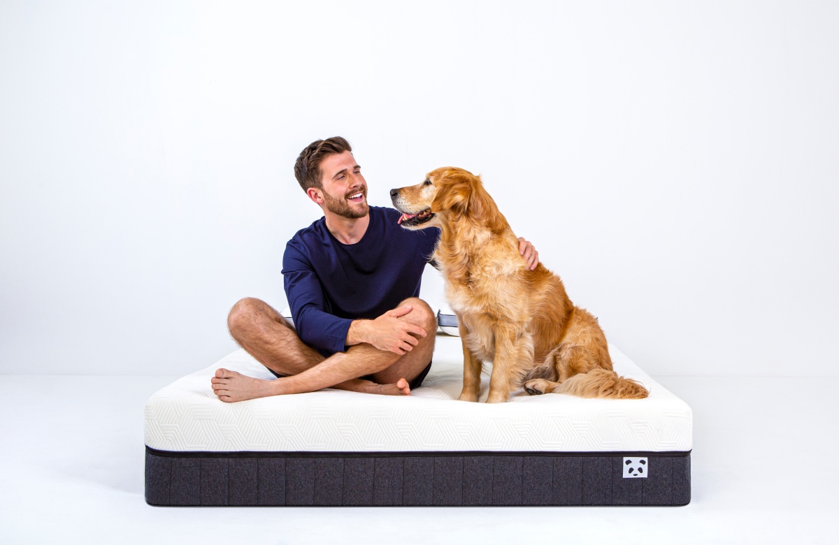 Hybrid Bamboo Mattress Guy with a Dog