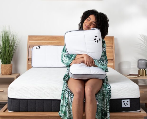 Hybrid Bamboo Mattress Pillow