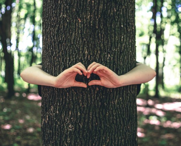 Girl holding hands around the tree